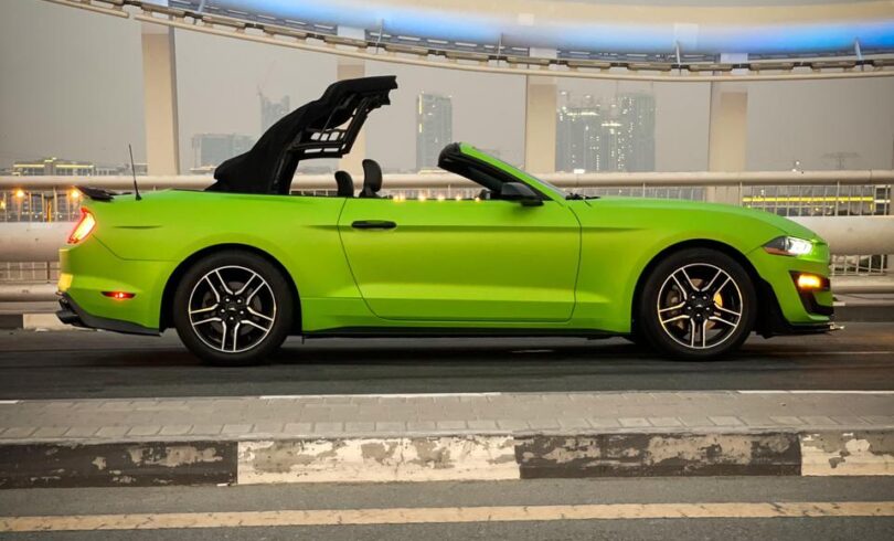 Mustang 2022